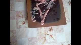 Чистка свиных кишек.Cleaning pig intestines