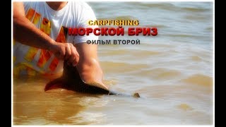 CARPFISHING: "МОРСКОЙ БРИЗ" (ФИЛЬМ ВТОРОЙ)