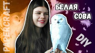 DIY СОВА из бумаги ПАПЕРКРАФТ/ Papercraft| KATRIN//KATE