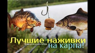 Наживки на карпа в августе и сентябре!
