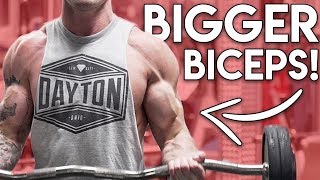 V Shred | 10 Minute Bicep Workout for Bigger Arms | 5 Bicep Exercises