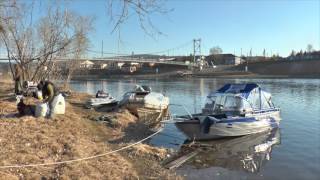 Berkut Разбушлат