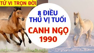 8 ĐIỀU THÚ VỊ VỀ TUỔI CANH NGỌ 1990  SỰ NGHIỆP TÍNH CÁCH VẬN MỆNH NGƯỜI TUỔI NGỌ I TỬ VI 12 CON GIÁP