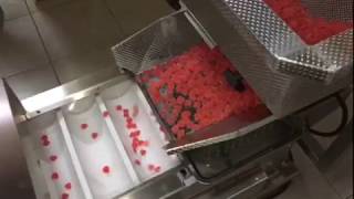 Jelly Candy Pouch Automatic Weighing And Packing Combination Machine --Wilpac(China)