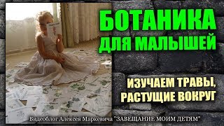 Ботаника для малышей