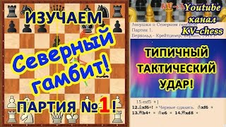 Типичная жертва и атака в шахматном дебюте "Северный гамбит"!