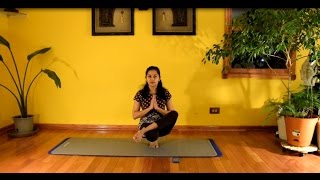 World Wellness Wish - January 2015 Challenge Day 24 of Yoga-Pilates Practice with Vidya Nahar