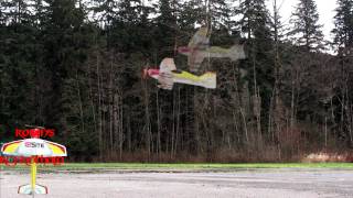 E-flite Ultra Micro 4-Site in heavy wind with tail touch