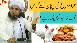 Broiler is Halal or Haram in Islam | Haram Murgh Ki Pehchan