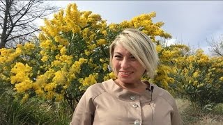 Часть 2. Соляр - Гороскоп Дня рождения от известного астролога Анжелы Перл на LiveExpert.ru.