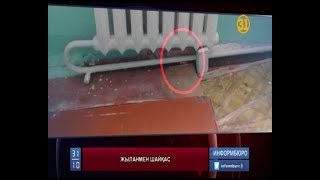 Алматы облысындағы тылсым жағдай