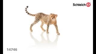 Schleich - Gepard - Samica 14746 - www.krainazabawy.pl