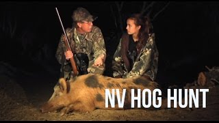 Night Vision Hog Hunt