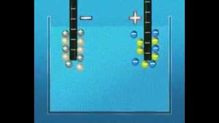 GCSE Science Revision - Electrolysis of a Solution