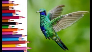 Color Theory As It Pertains To Adult Coloring