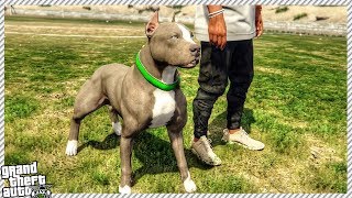 GTA 5 REAL LIFE MOD #15 - Taking Pit Bull For Walk! (Custom New Dog Breed in GTA 5 PIT BULL)