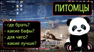 ГАЙД ПО ПИТОМЦАМ / КАК СКРЕЩИВАТЬ? ГДЕ ВЗЯТЬ? / ЛУЧШИЕ БАФЫ / Black Desert Mobile