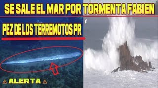 Encuentran al Pez Remo en PR (Pez de los Sismos) / Se Sale el Mar Por Tormenta Fabien