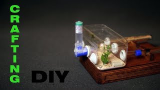 Муравьиная ферма #3. Модуль автономного увлажнения формикария своими руками