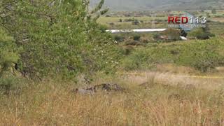 Abandonan un ejecutado a un costado de la Jacona - Jiquilpan