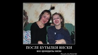 АЛКАШИ В ТЕМЕ! Один вырубил всех! Смешное №1