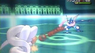 Pokemon X and Y Wifi Battle #12: Skill Link Cinccino