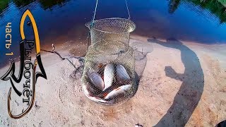 Бешеный клев Язя Full HD ?Рыбалка на язя на спиннинг?Рыбалка на язя на донки?Часть первая