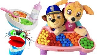 Video for Children  - Paw Patrol Babies Skye Chase