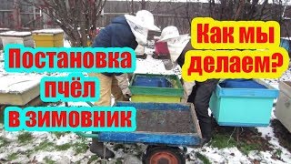 ???ПОСТАНОВКА ПЧЕЛОСЕМЕЙ В ЗИМОВНИК, КАК МЫ ЭТО ДЕЛАЕМ 2019 ГОД