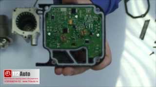 Разборка Webasto Thermo Top Evo Обзор