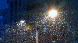 Футаж Снегопад в Городе. Красивый Снегопад в Свете Фонарей. Видео Красивый Снегопад в Городе Ночью