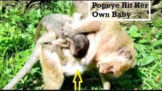 HEART BREAKING! Mum Popeye Hit Her Own Baby Cos Do Give Milk/Polino Cry So Hungry Milk,Monkey Videos
