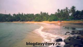 Пляж Мириса бич(обзор), Мириса(Mirissa beach, Mirissa) февраль 2015, Шри-Ланка (Sri Lanka)