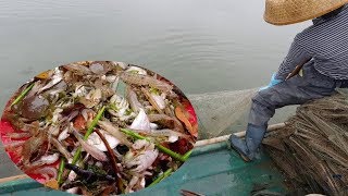 这季节海货实在太泛滥，阿渔妹抓满一大筐，卖货的时候都称不起来【阿渔妹】