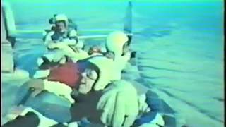 Skydive - Skydiving in the early 1970s