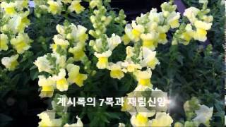 계시록의 7복과 재림신앙, 이동례 목사, 킬린예수사랑교회