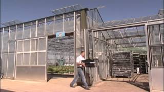 Mr Fothergill's Live Plants Nursery, Growing Mail Order Plug Plants