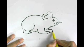How to draw rat or mouse in  easy steps for children, kids, beginners