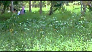 mesum di semak-semak