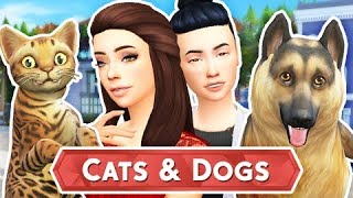 THE SIMS 4 CATS & DOGS - BUILDING OUR VET #1
