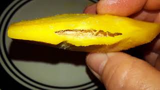 Cómo Germinar Semillas de Mango! - SinPretextos.