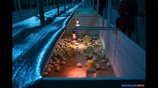 ПЕРЕПЕЛИНАЯ ФЕРМА ЭТО БИЗНЕС ? СТОИТ ЛИ УВЕЛИЧИВАТЬ ПОГОЛОВЬЕ ПЕРЕПЕЛИНОЙ ФЕРМЫ.
