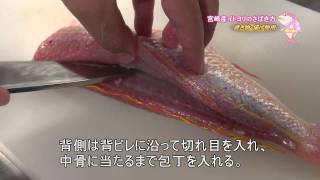 イトヨリの捌き方～焼き物・揚げ物用～