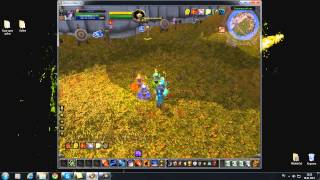 Новый баг на Шамана World OF Warcraft На дамаг,спд,урон(26.11.2013)