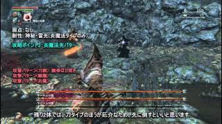 Bloodborne(ブラッドボーン) ボス攻略 #06 ヤーナムの影 【神攻略wiki】