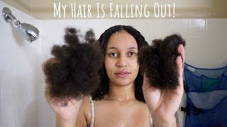 I Tried Rice Water...Again | Watch My Hair Fall Out In Clumps! | CaliCurls