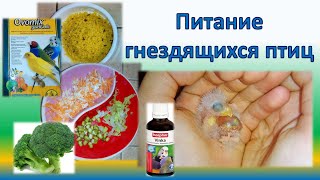 Часть 1. Меню гнездящихся птиц. Витамины, добавки, овощи...