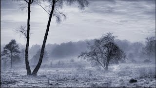 The Classical Jazz Quartet Play Rachmaninov - Piano Concerto #2 in C minor 1 Movement I part V