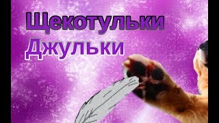 ЩЕКОТУЛЬКИ ДЖУЛЬКИ/ОСТАНОВИТЕ ЭТО!!!
