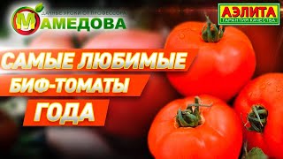 ? Самые любимые БИФ ТОМАТЫ ГОДА - Биф Пинк и Биф Кинг